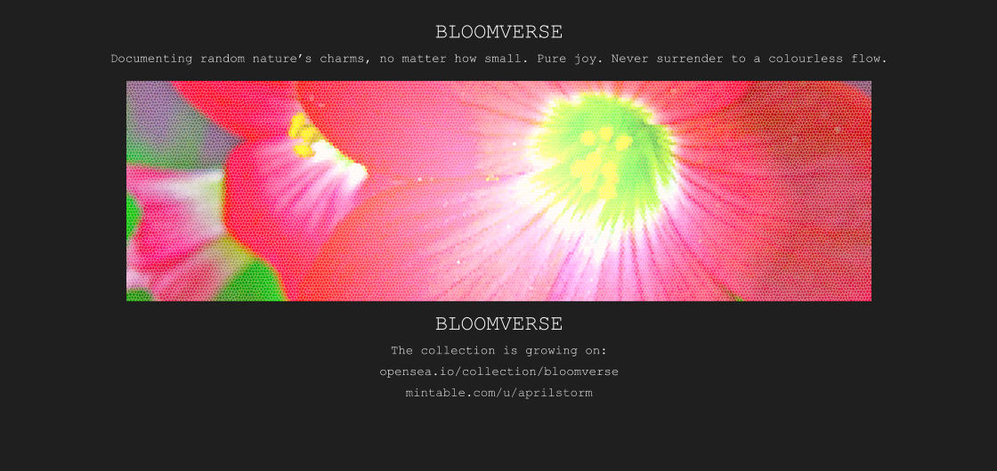 BLOOMVERSE Documenting random nature’s charms, no matter how small. Pure joy. Never surrender to a colourless flow.   BLOOMVERSE The collection is growing on: opensea.io/collection/bloomverse mintable.com/u/aprilstorm